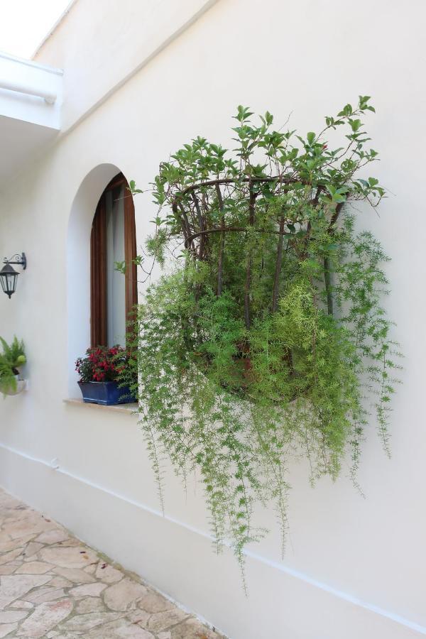 Il Trullo Del Cadetto Villa Francavilla Fontana Exterior photo
